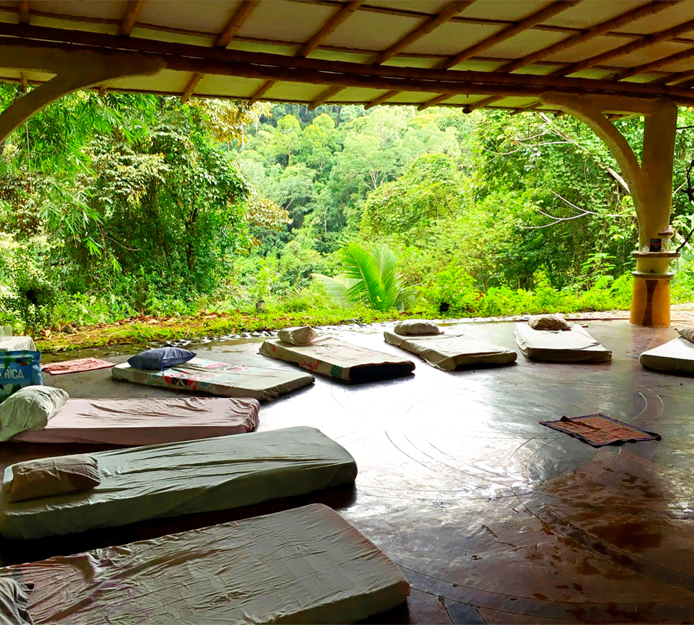 A Transformational Ayahuasca Retreat in Costa Rica